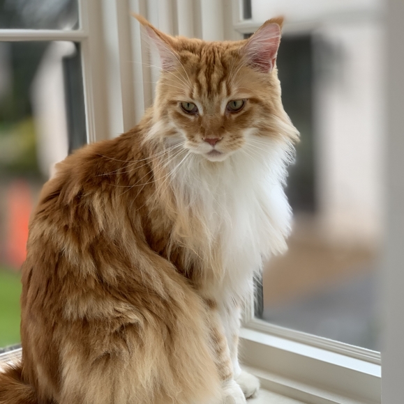 Namaste - Picture 10 of 16